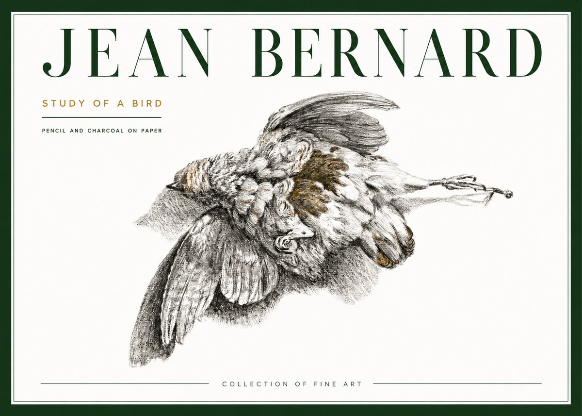 Jean Bernard Study of a Bird III No4 - Plakát