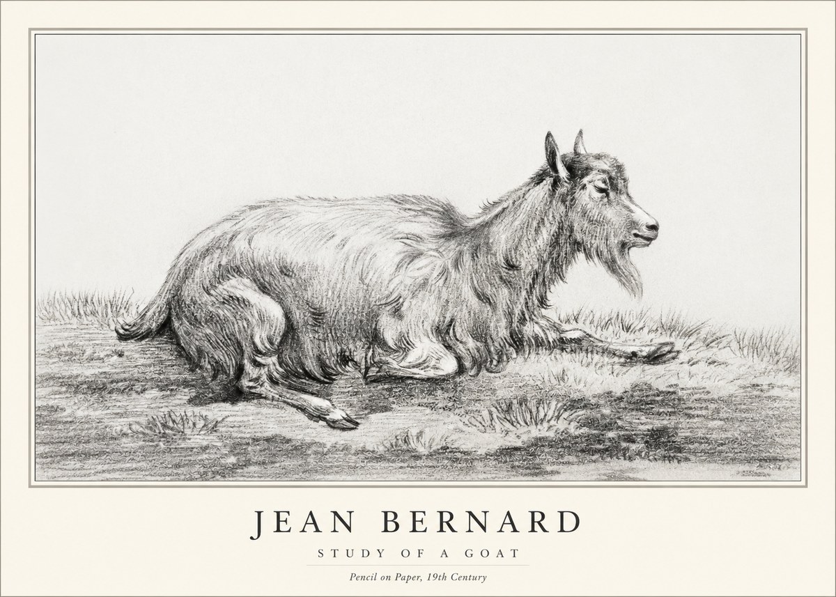 Jean Bernard Study of a Goat V No1 - Plakát
