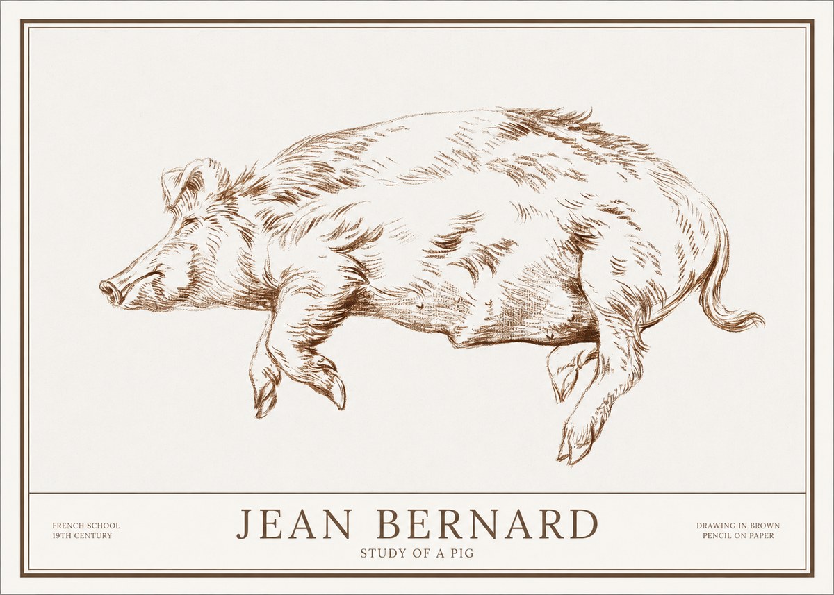 Jean Bernard Study of a Pig II No1 - Plakát