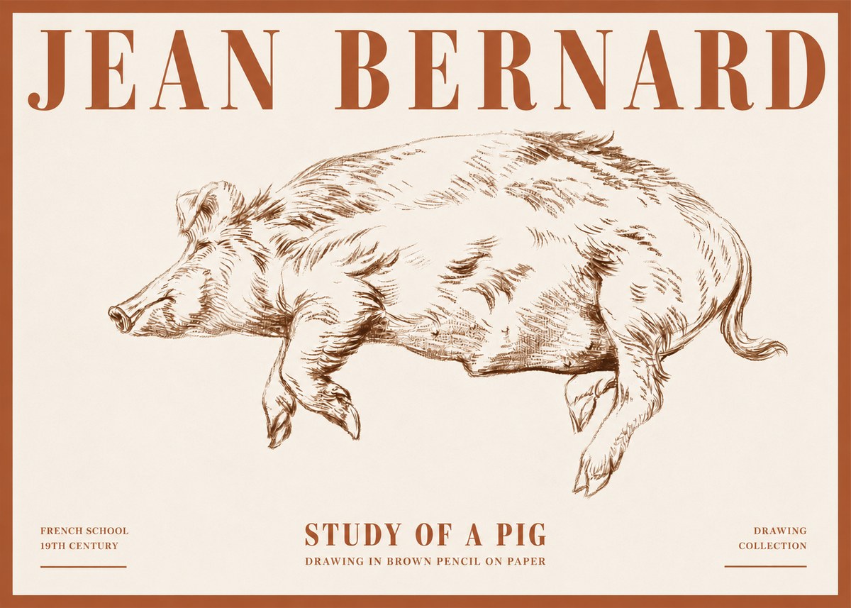 Jean Bernard Study of a Pig II No4 - Plakát