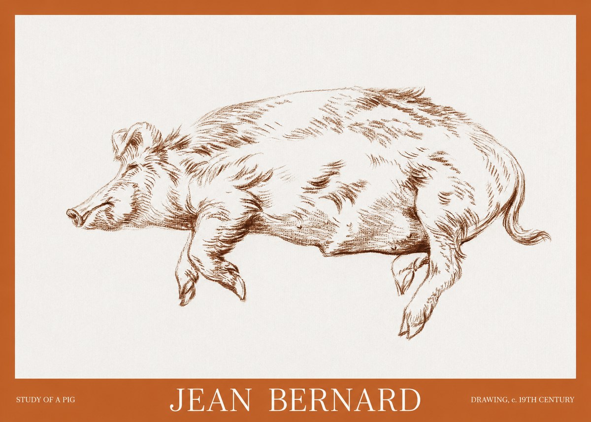 Jean Bernard Study of a Pig II No6 - Plakát