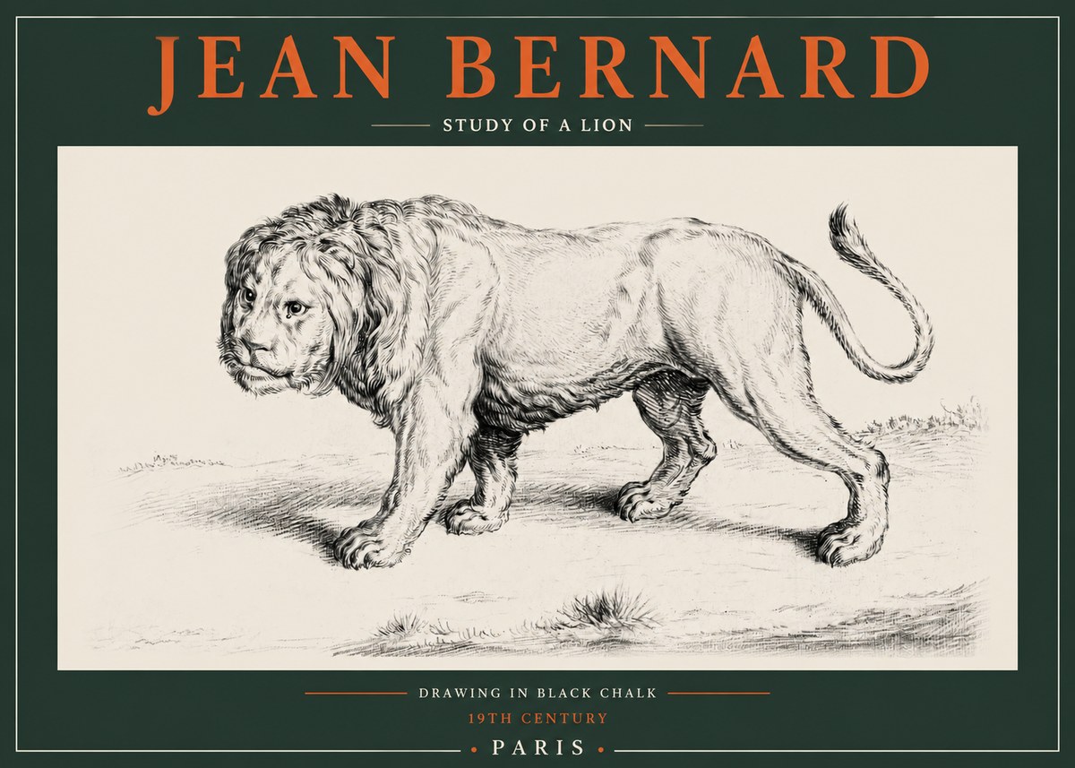 Jean Bernard Study of a Lion II No2 - Plakát