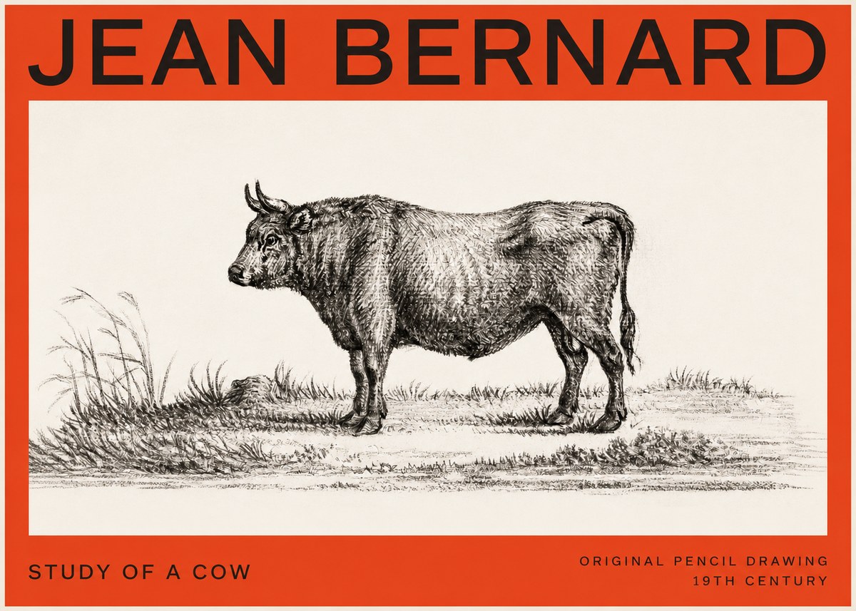 Jean Bernard Study of a Cow XIII No4 - Plakát