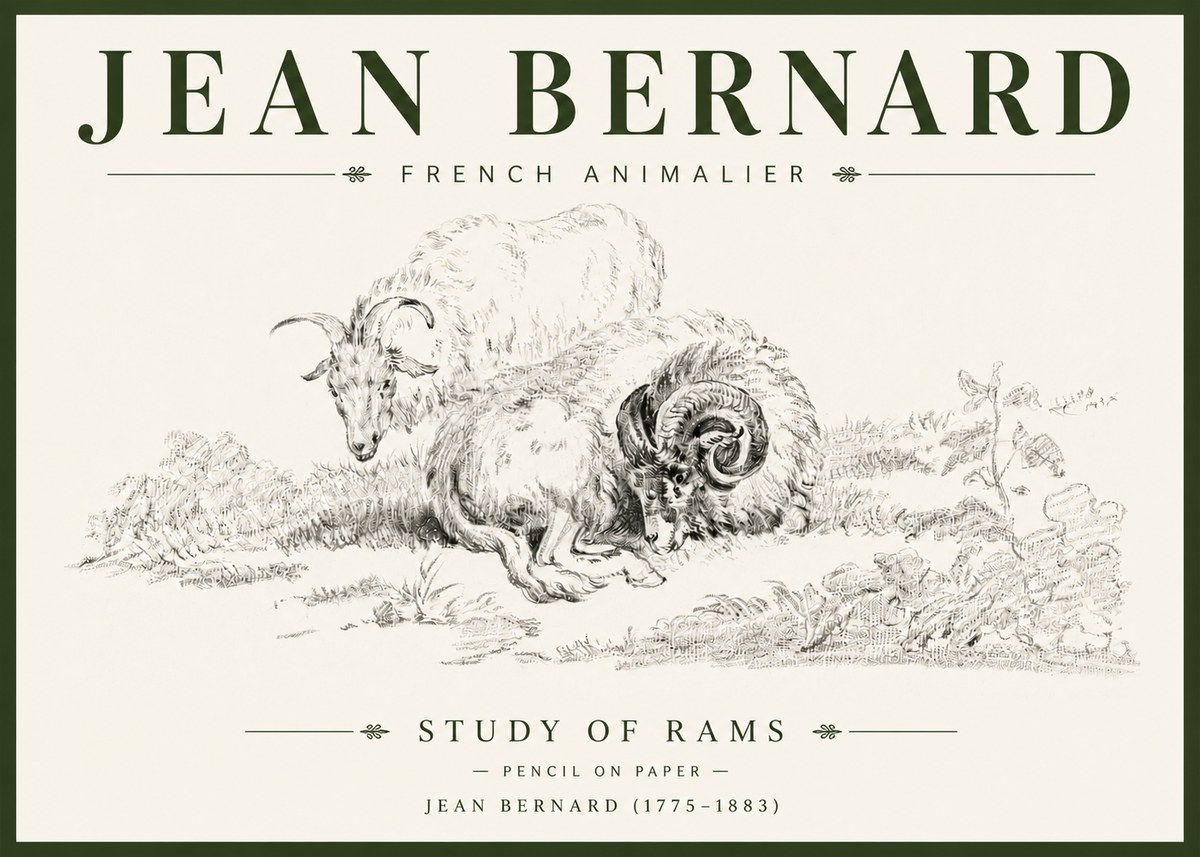 Jean Bernard Study of Sheep No6 - Plakát