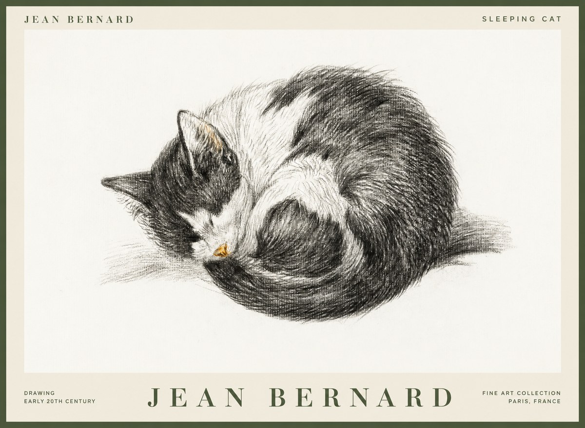 Jean Bernard Sleeping Cat VIII No1 - Plakát