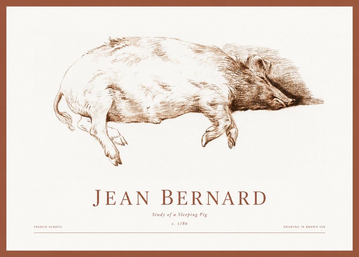 Jean Bernard Study of a Sleeping Pig No1 - Plakát