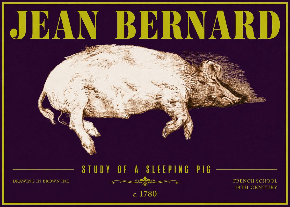 Jean Bernard Study of a Sleeping Pig No6 - Plakát