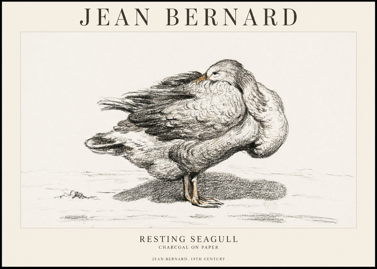 Jean Bernard Resting Seagull No1 - Plakát
