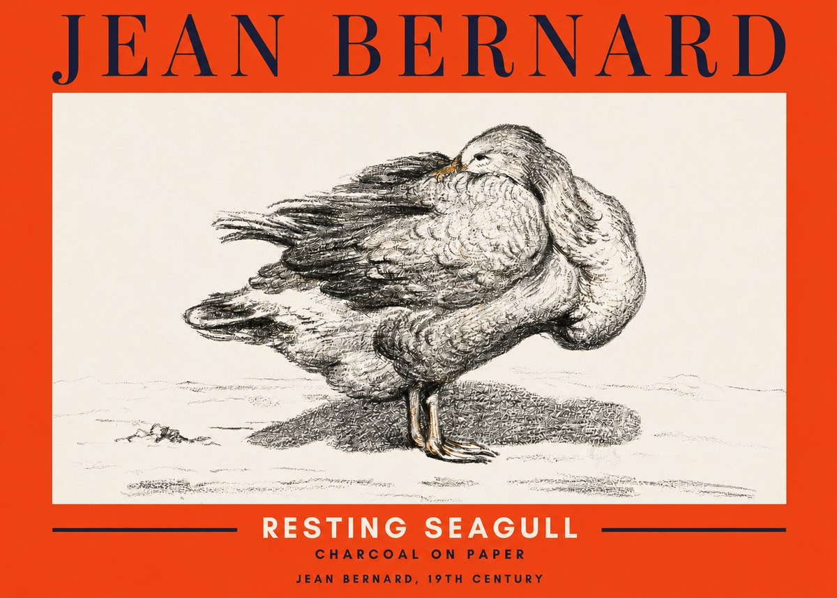 Jean Bernard Resting Seagull No2 - Plakát