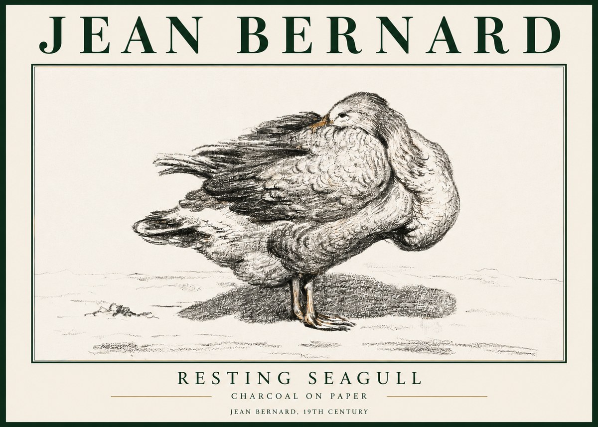 Jean Bernard Resting Seagull No3 - Plakát