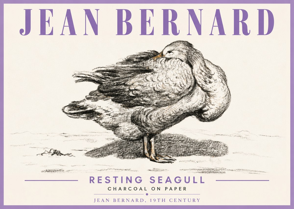 Jean Bernard Resting Seagull No6 - Plakát
