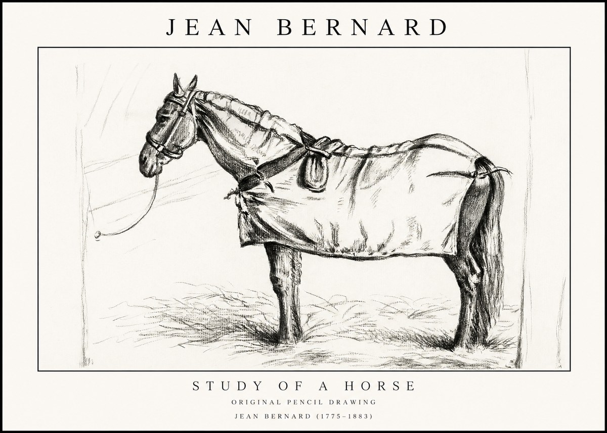 Jean Bernard Study of a Horse XI No1 - Plakát