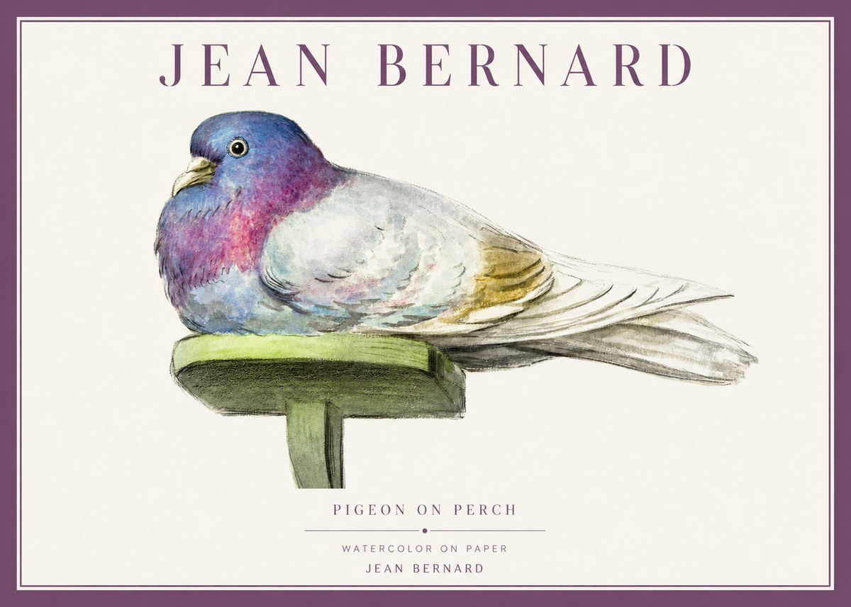 Jean Bernard Pigeon on Perch No1 - Plakát