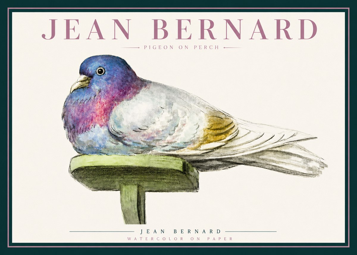 Jean Bernard Pigeon on Perch No3 - Plakát