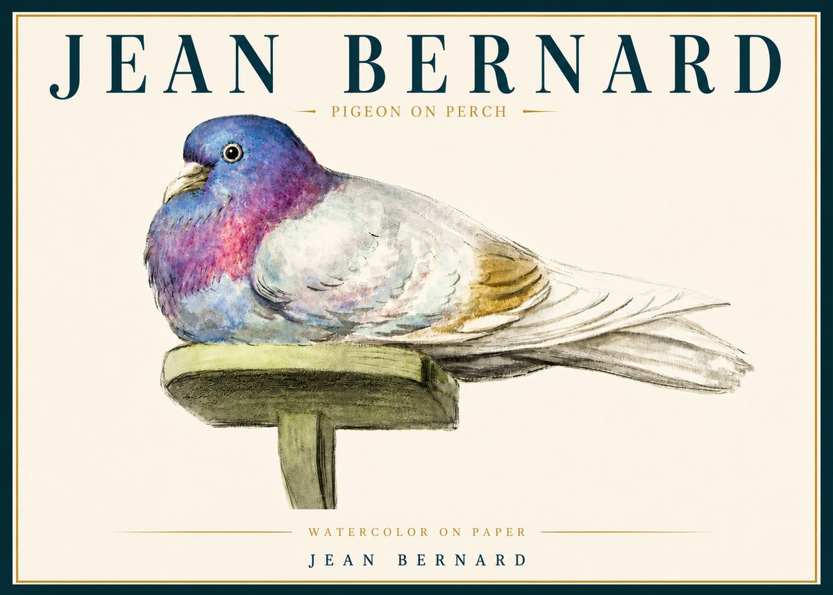 Jean Bernard Pigeon on Perch No5 - Plakát