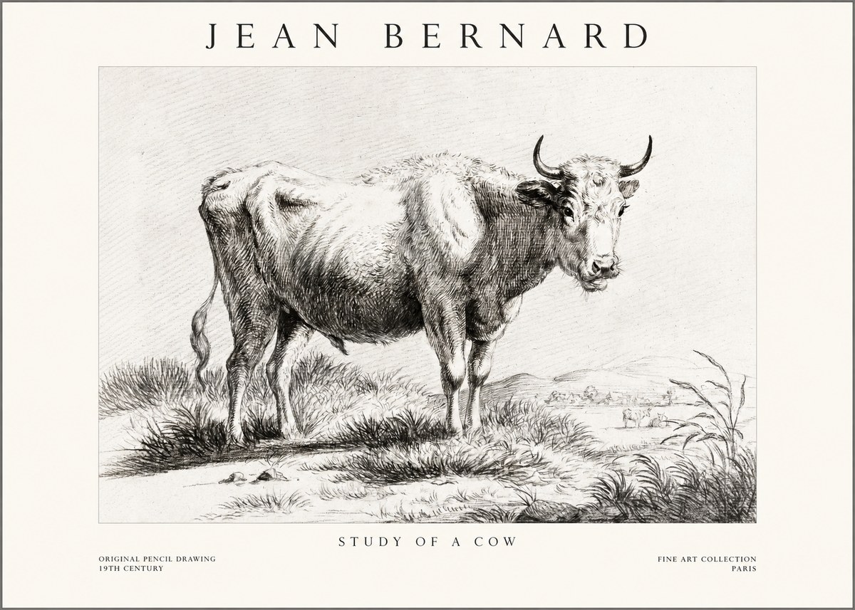 Jean Bernard Study of a Cow XVI No1 - Plakát