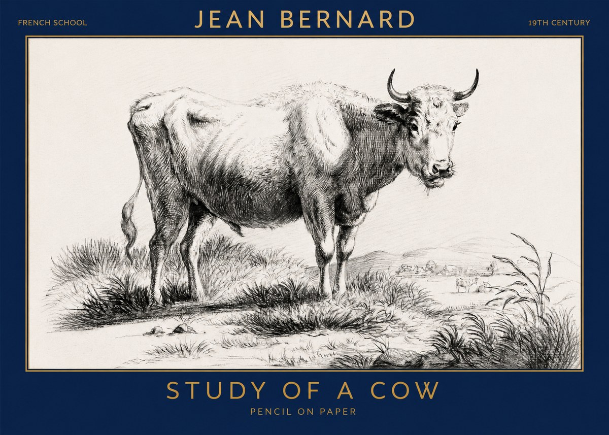 Jean Bernard Study of a Cow XVI No3 - Plakát