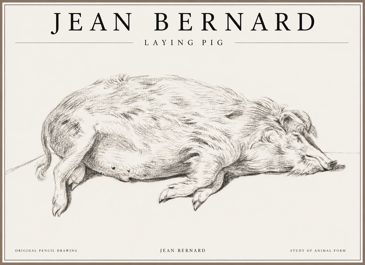 Jean Bernard Laying Pig No1 - Plakát