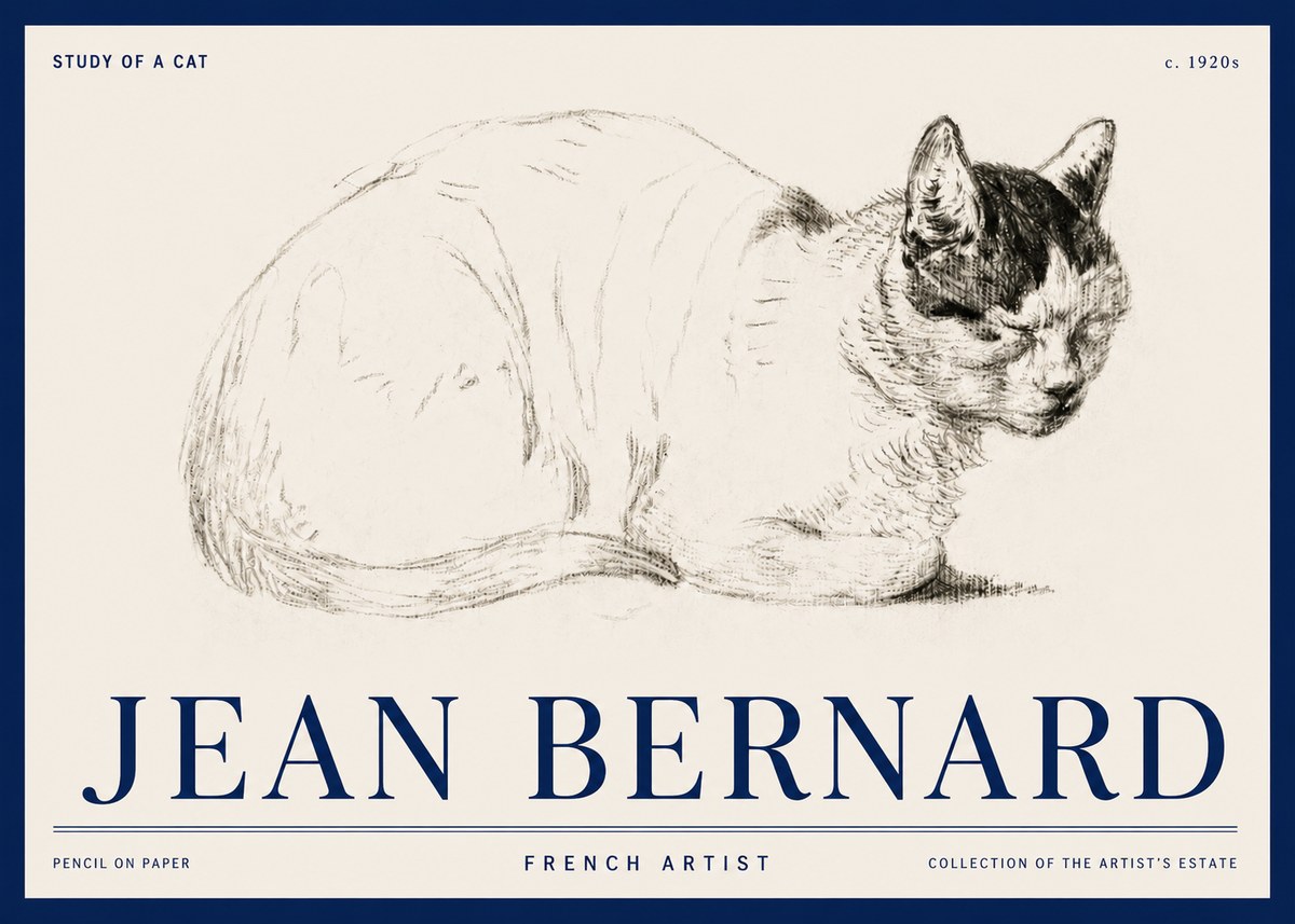 Jean Bernard Study of a Cat III No3 - Plakát