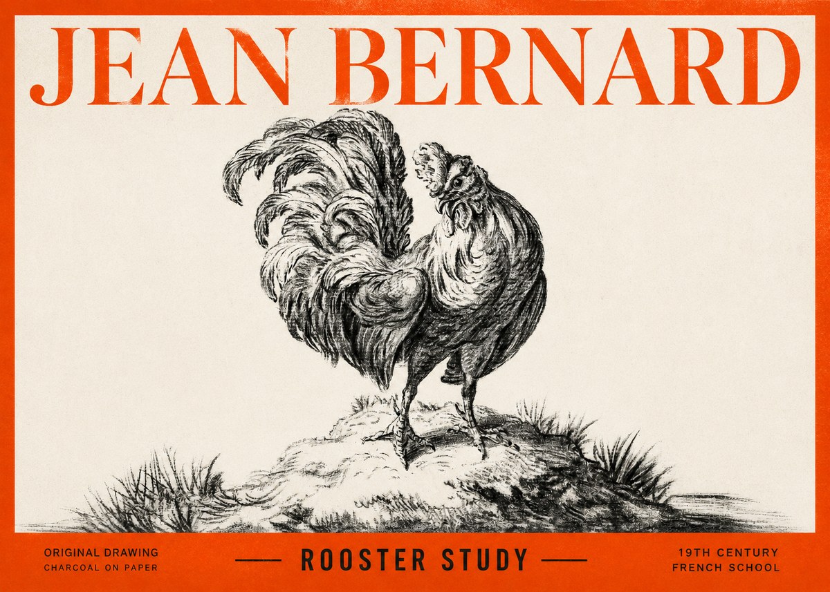 Jean Bernard Study of a Rooster No3 - Plakát