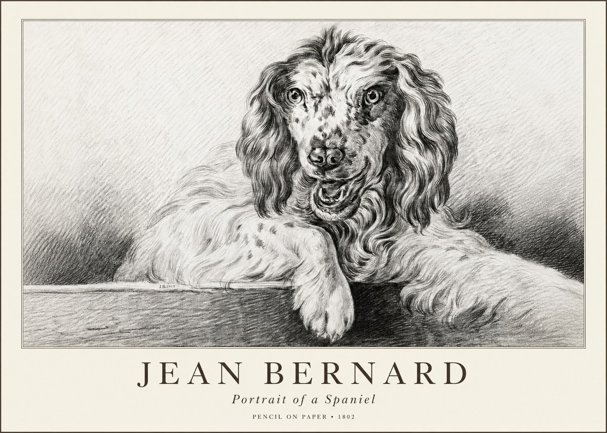 Jean Bernard Portrait of a Spaniel No1 - Plakát