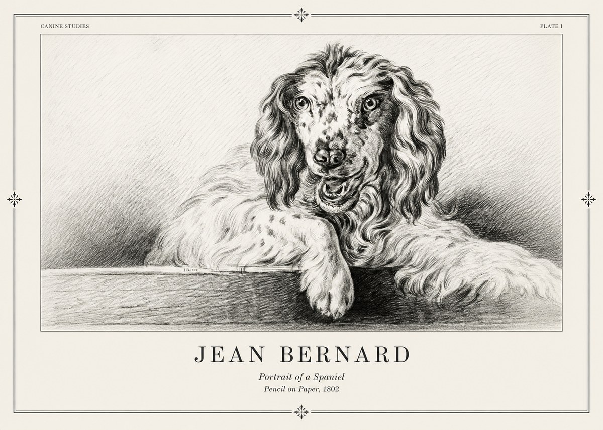 Jean Bernard Portrait of a Spaniel No2 - Plakát