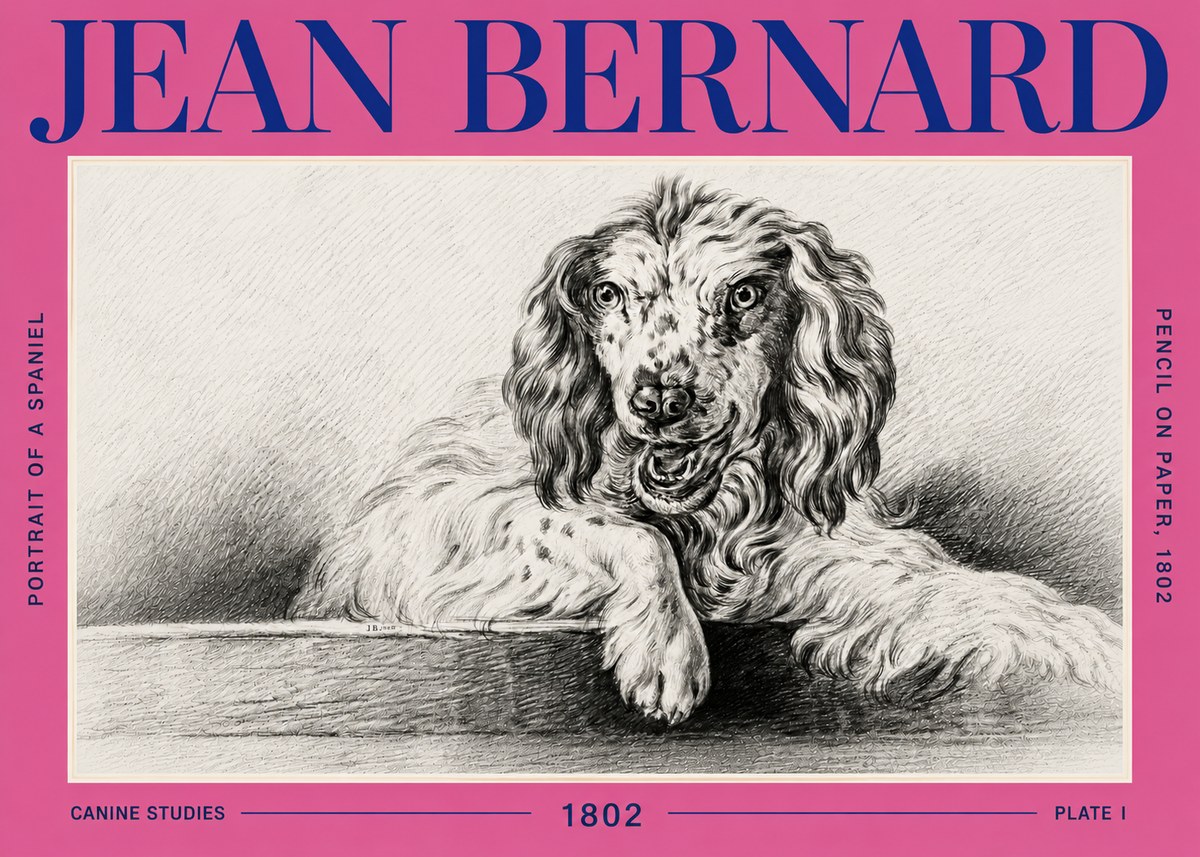 Jean Bernard Portrait of a Spaniel No6 - Plakát
