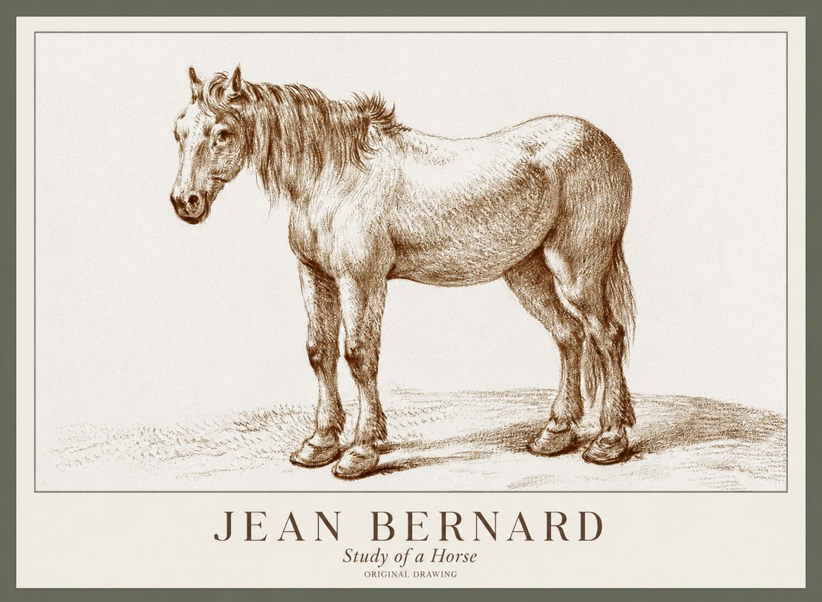 Jean Bernard Study of a Horse XIV No1 - Plakát