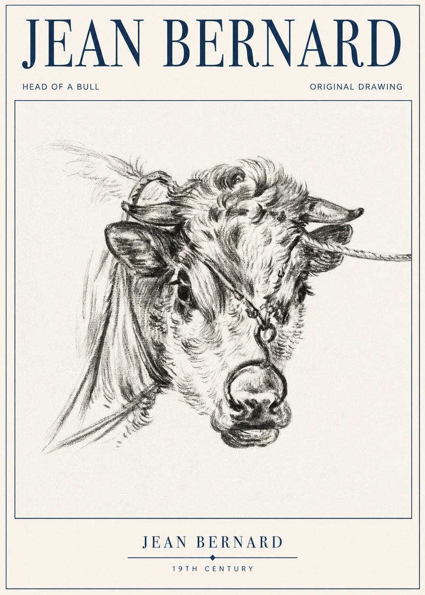 Jean Bernard Head of a Bull No1 - Plakát