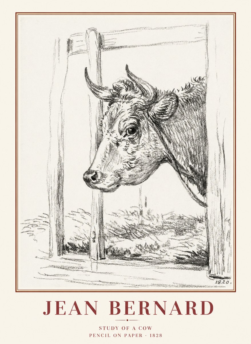 Jean Bernard Study of a Cow XVIII No1 - Plakát