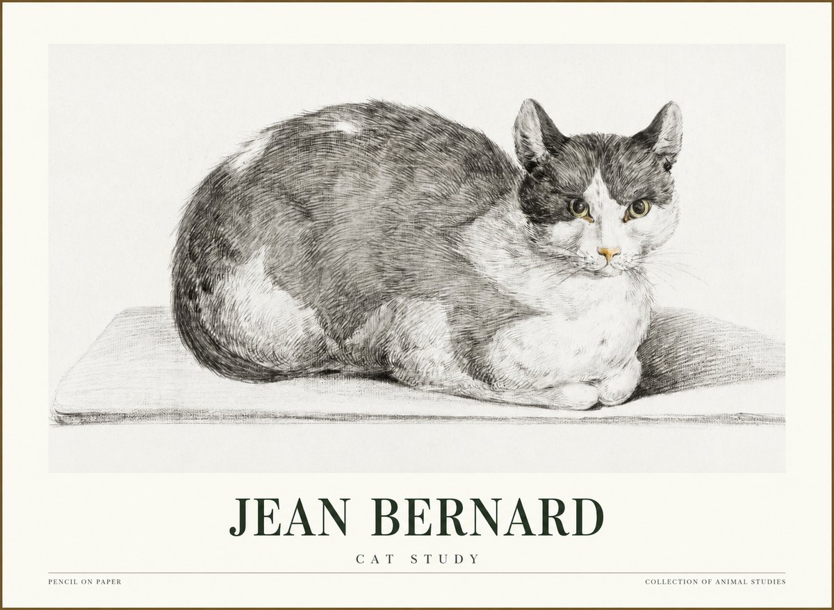 Jean Bernard Cat Study XI No1 - Plakát
