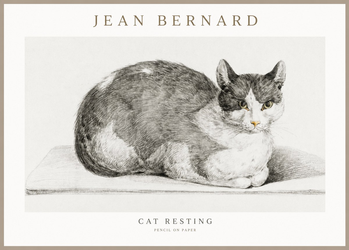 Jean Bernard Cat Study XI No3 - Plakát