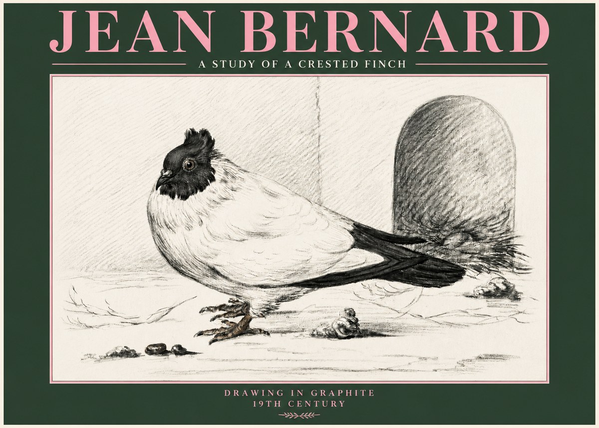 Jean Bernard A Study of a Crested Finch No3 - Plakát