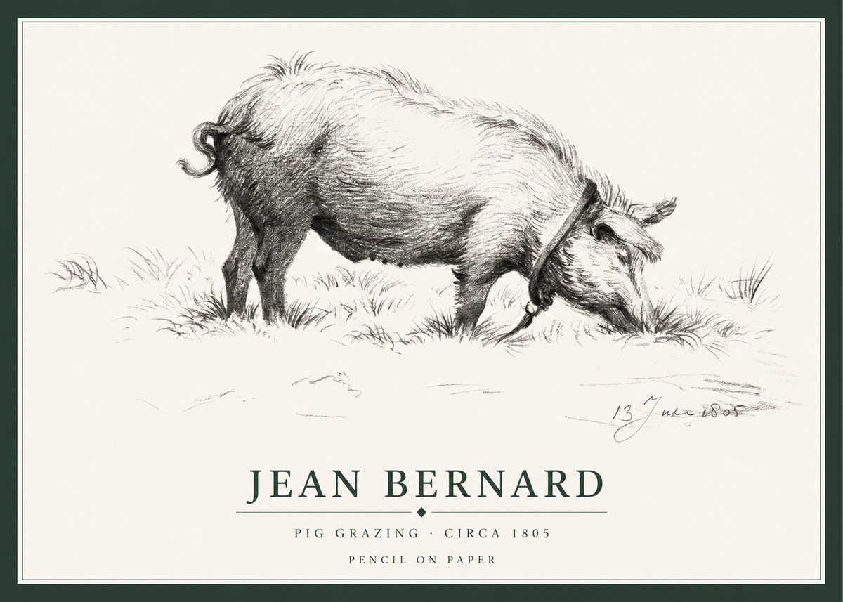 Jean Bernard Pig Grazing No1 - Plakát