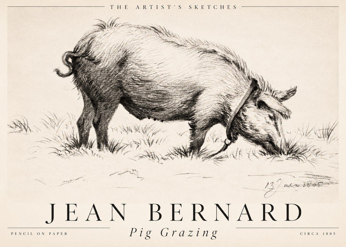 Jean Bernard Pig Grazing No2 - Plakát