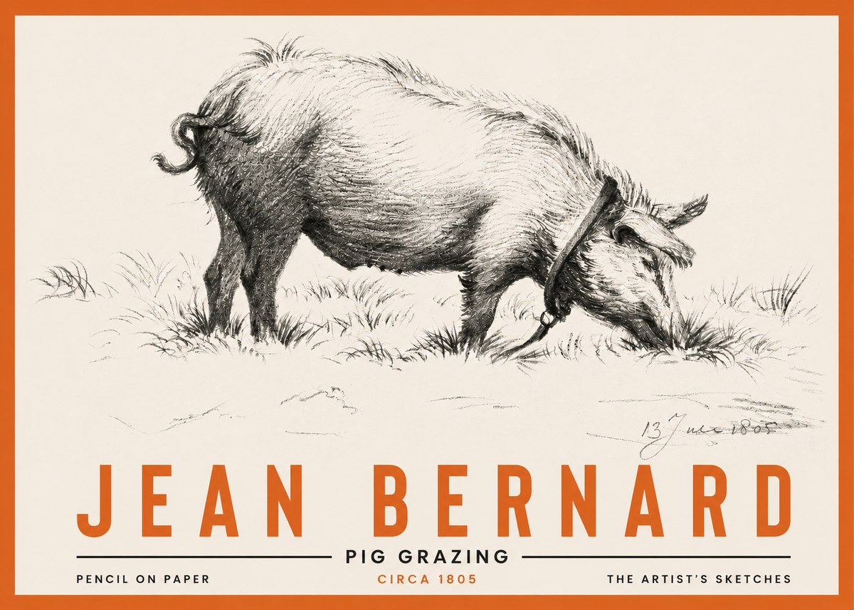 Jean Bernard Pig Grazing No4 - Plakát