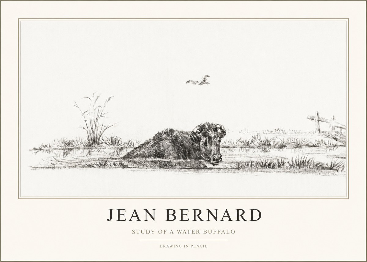 Jean Bernard Study of a Water Buffalo No1 - Plakát