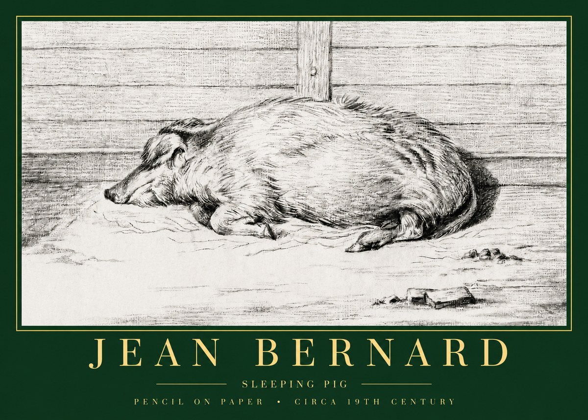 Jean Bernard Sleeping Pig I No3 - Plakát