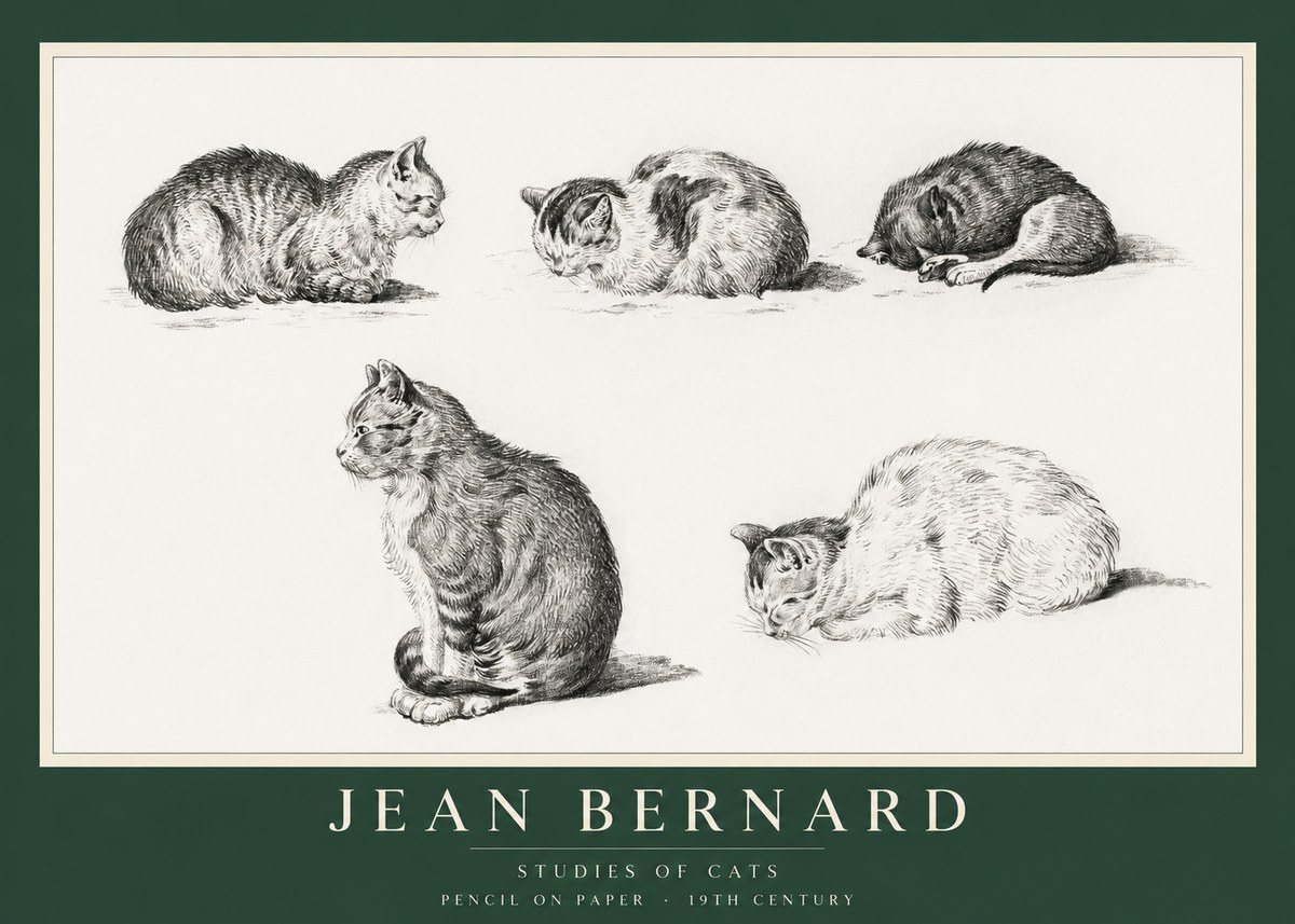 Jean Bernard Studies of Cats No1 - Plakát