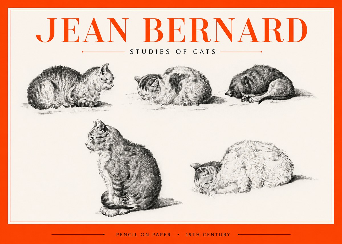 Jean Bernard Studies of Cats No2 - Plakát