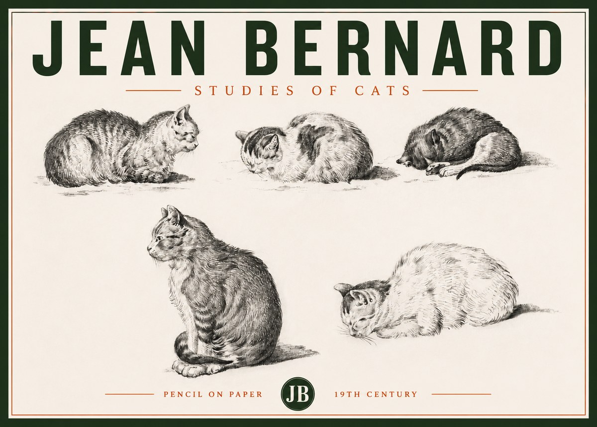 Jean Bernard Studies of Cats No4 - Plakát