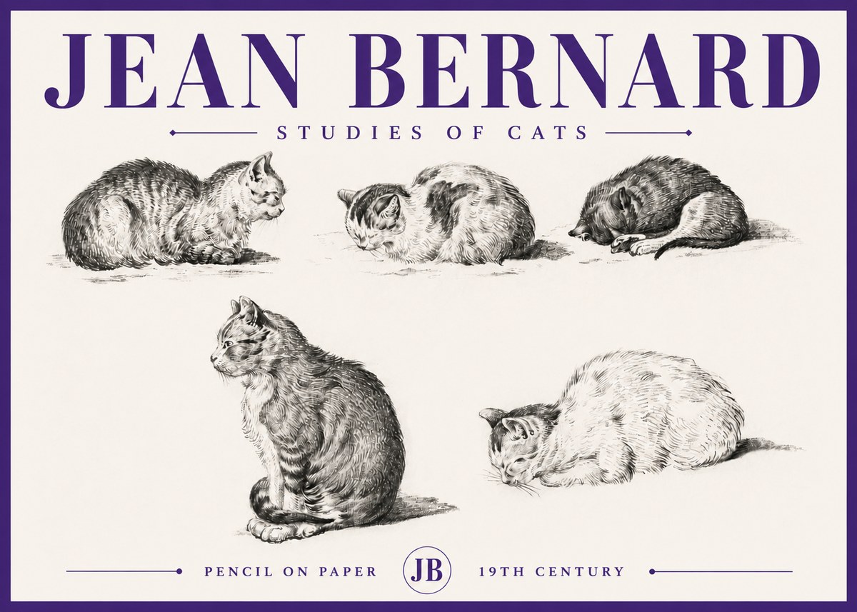 Jean Bernard Studies of Cats No5 - Plakát