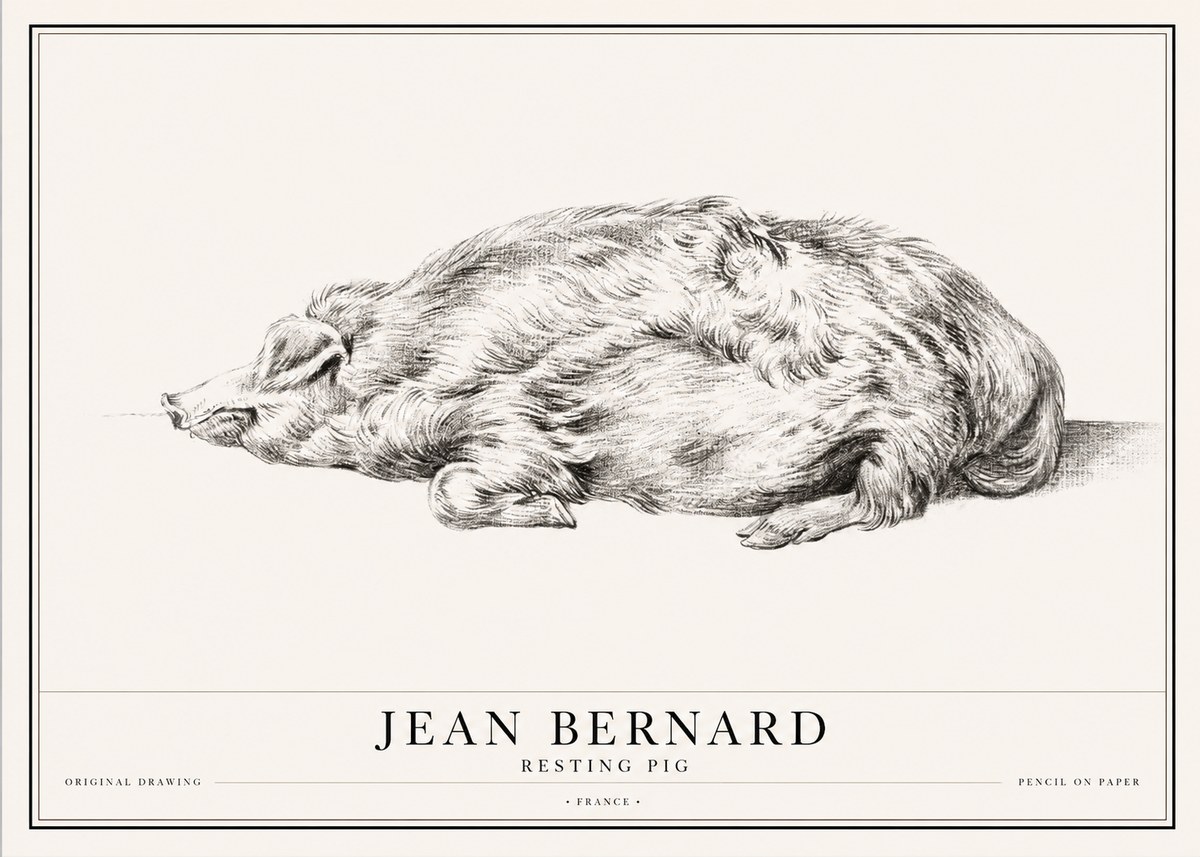 Jean Bernard Resting Pig II No1 - Plakát