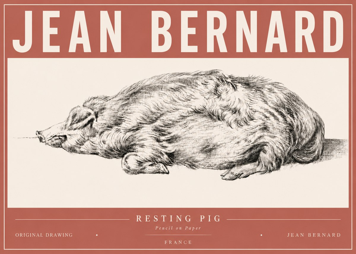 Jean Bernard Resting Pig II No6 - Plakát