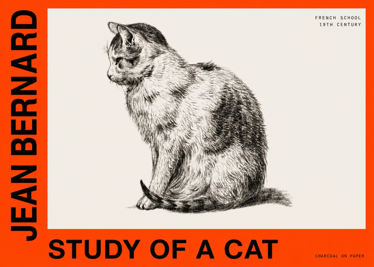 Jean Bernard Study of a Cat IV No6 - Plakát