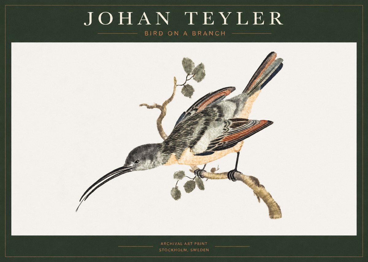 Johan Teyler Bird on a Branch No1 - Plakát