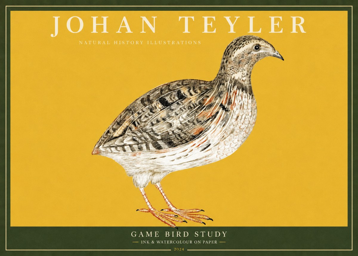 Johan Teyler Game Bird Study No2 - Plakát