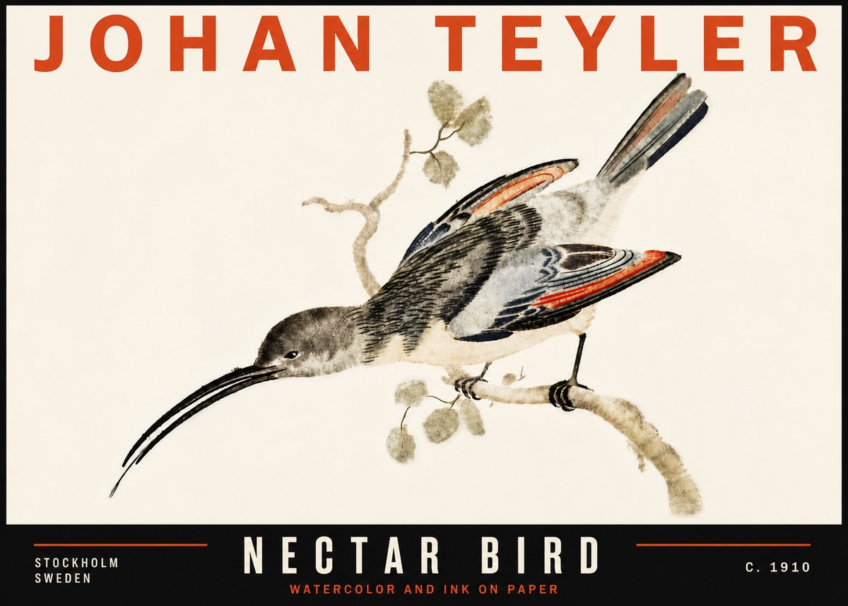 Johan Teyler Nectar Bird No6 - Plakát