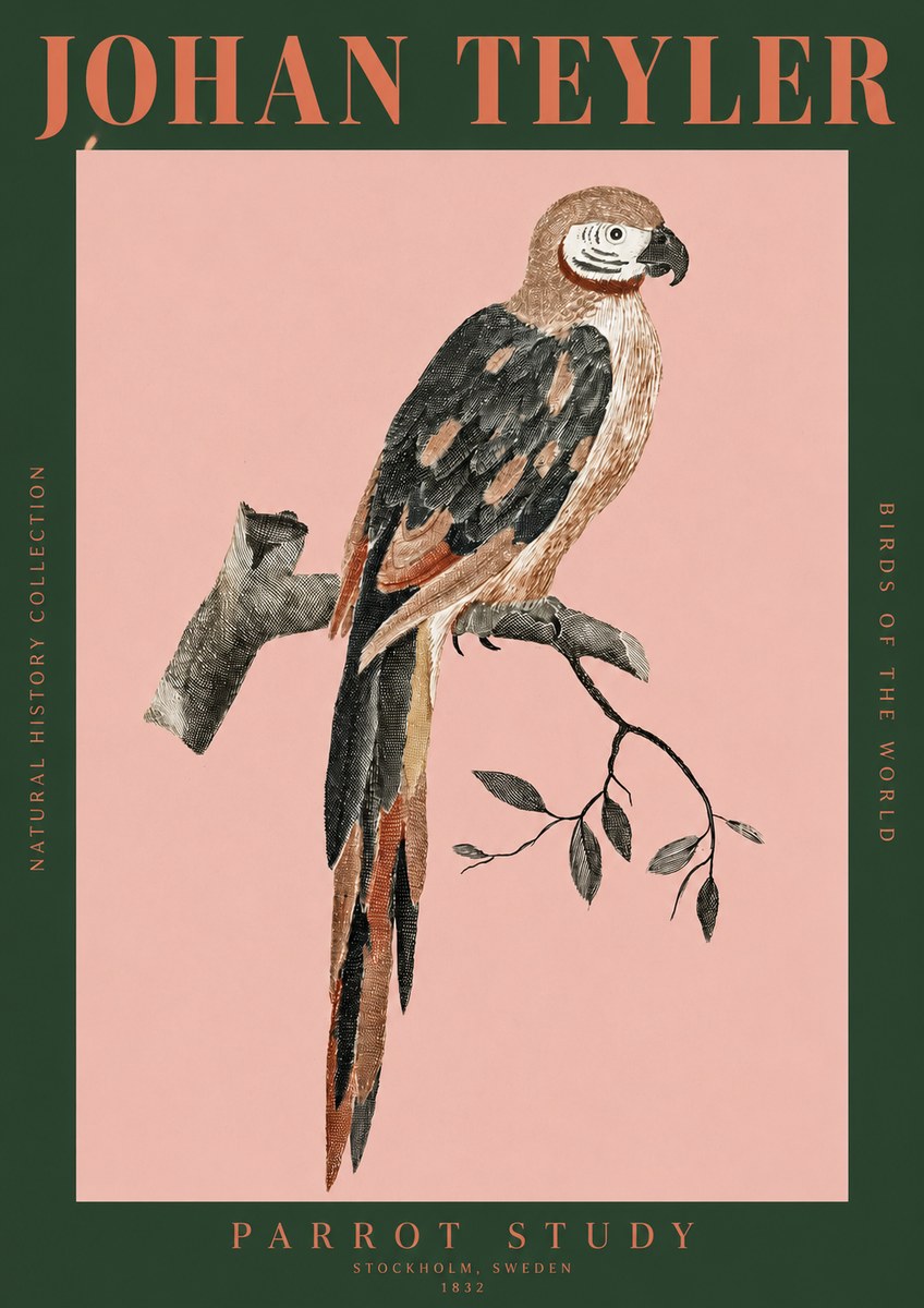 Johan Teyler Parrot Study I No2 - Plakát