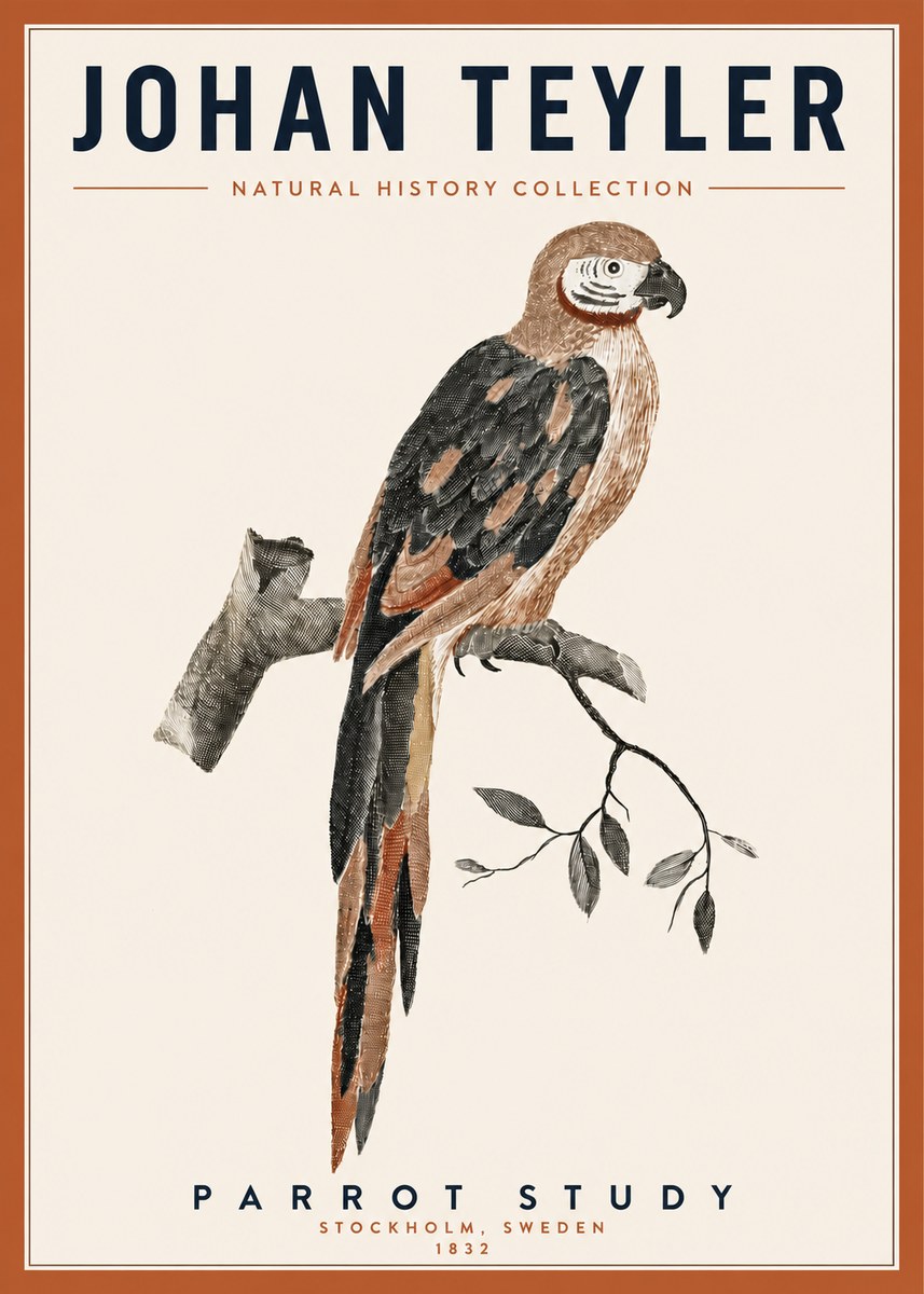 Johan Teyler Parrot Study I No3 - Plakát